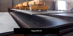 DIN EN 10025-5 S355J2W+N